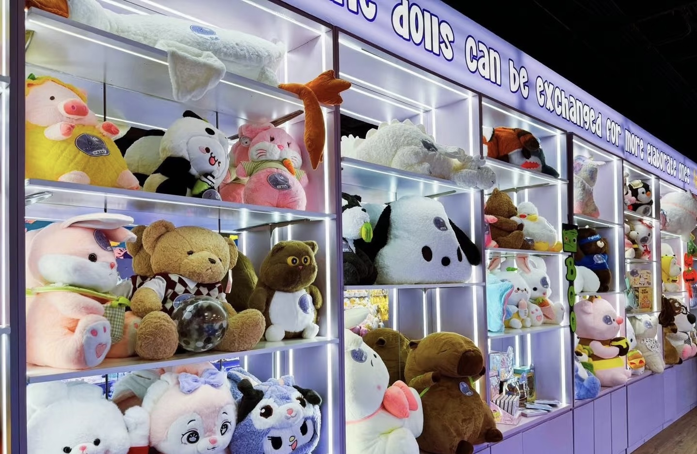 Toy Store Renovation in Metrotown, Burnaby - After 3