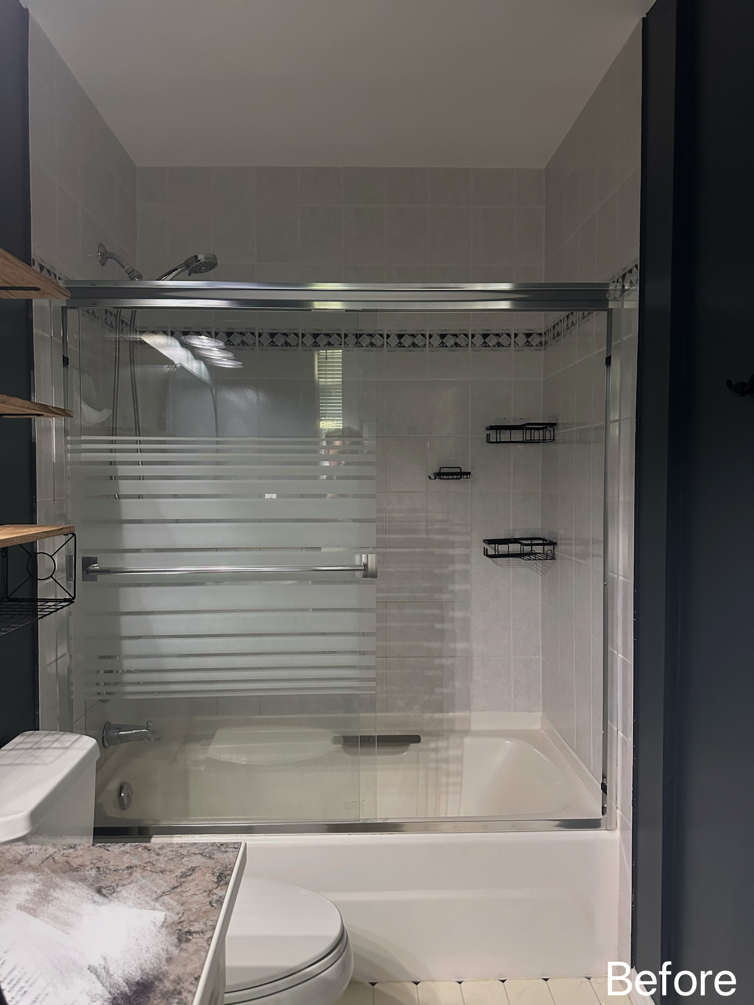 Standard Bathroom Renovation with Shower Conversion - Before Renovation 2